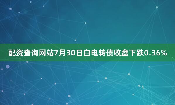 配资查询网站7月30日白电转债收盘下跌0.36%
