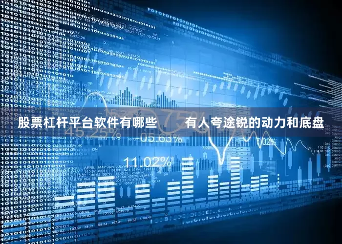 股票杠杆平台软件有哪些        有人夸途锐的动力和底盘