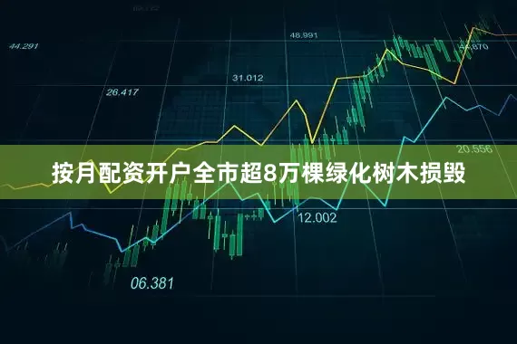 按月配资开户全市超8万棵绿化树木损毁