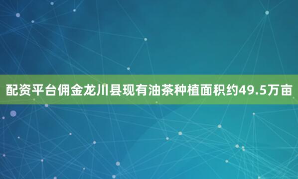 配资平台佣金龙川县现有油茶种植面积约49.5万亩