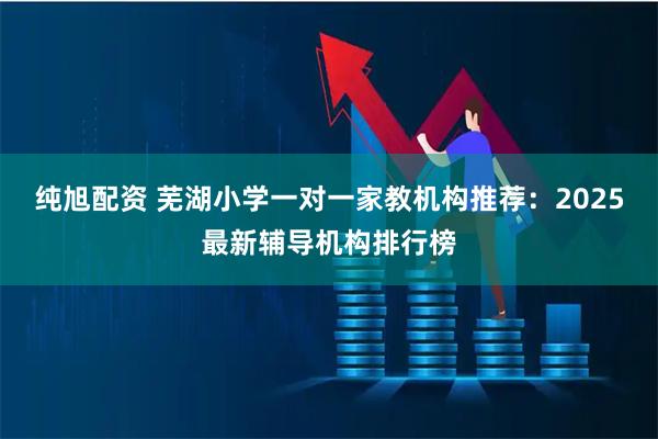 纯旭配资 芜湖小学一对一家教机构推荐:2025最新辅导机构排行榜