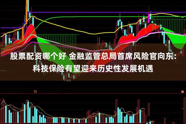 股票配资哪个好 金融监管总局首席风险官向东：科技保险有望迎来历史性发展机遇