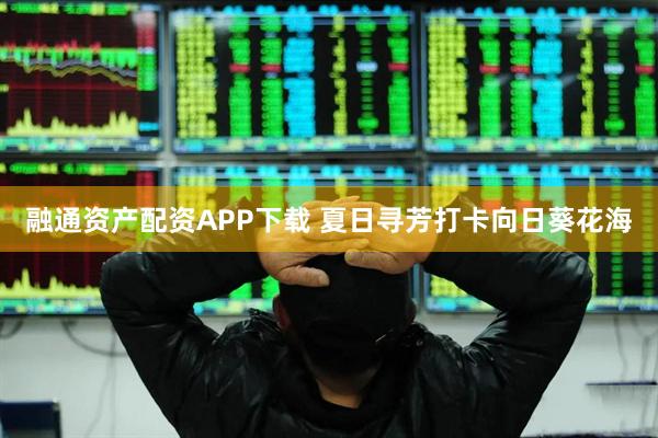 融通资产配资APP下载 夏日寻芳打卡向日葵花海